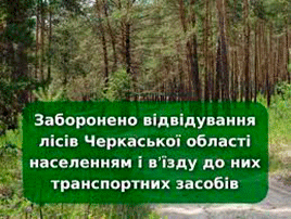 На Черкащині заборонено відвідувати ліси 