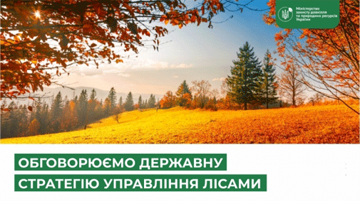 Громадська рада при Державному агентстві лісових ресурсів пропонує до обговорення Державну стратегію