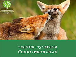 З 1 квітня до 15 червня триватиме сезон тиші